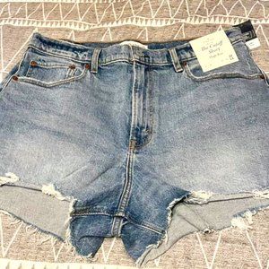 Abercrombie & Fitch Curve Love 90's Jean Shorts